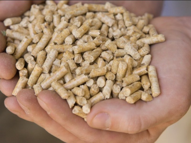 Pellet: Aiel lancia la petizione contro l’aumento dell’iva