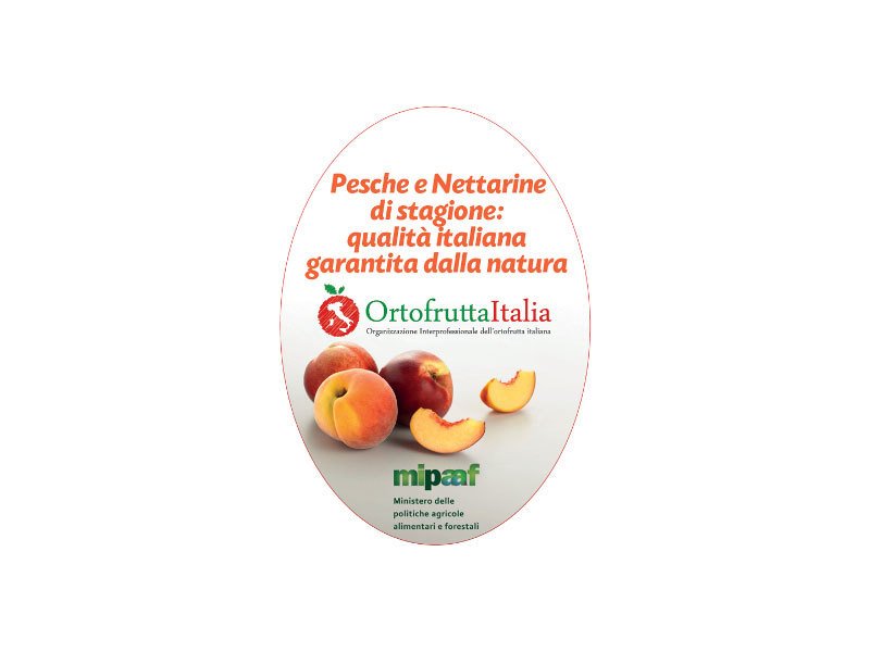 Pesche e Nettarine di stagione: tutta la filerà si allea per vincere la crisi promuovendo i consumi.