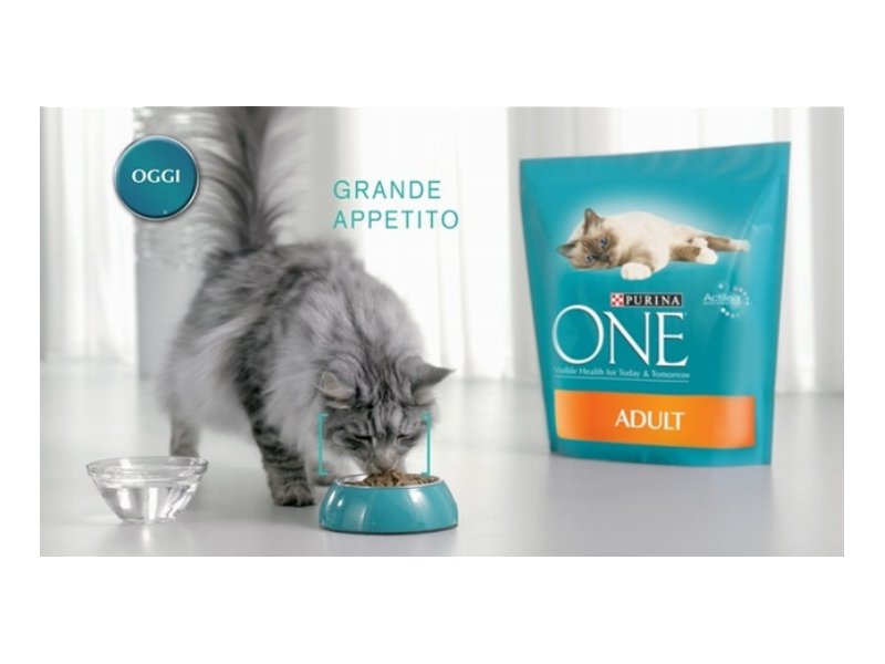 Purina One torna in tv