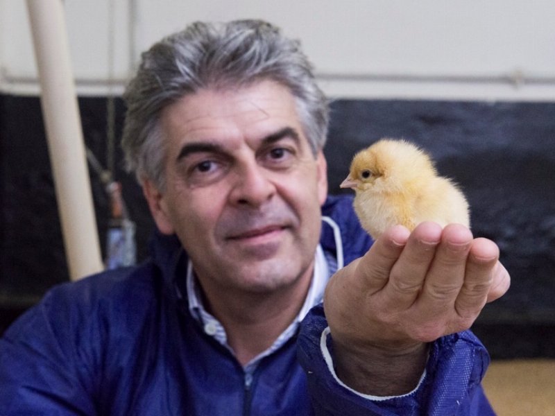 Valverde vince il premio Good Chicken