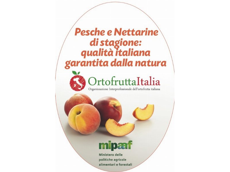 Al via la campagna Ortofrutta Italia