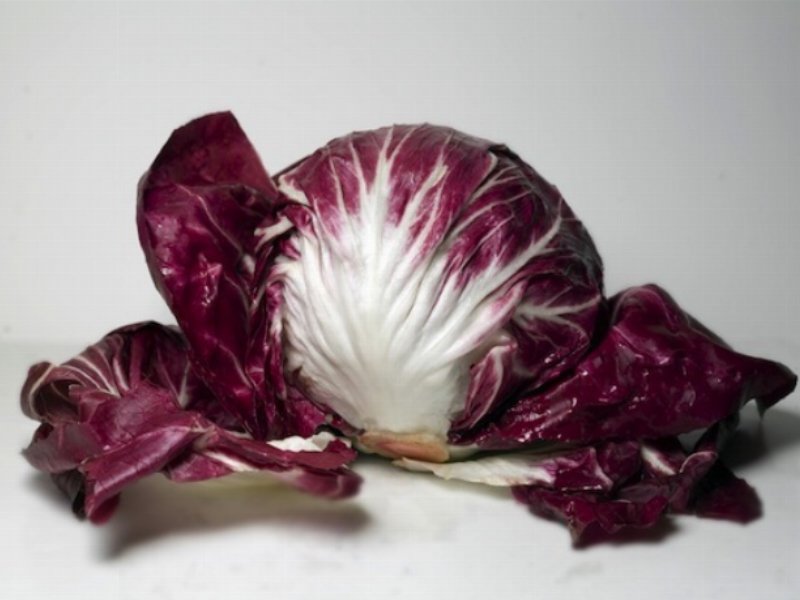 Al via la stagione del radicchio con la campagna europea Frutta & Verdura DOP e IGP