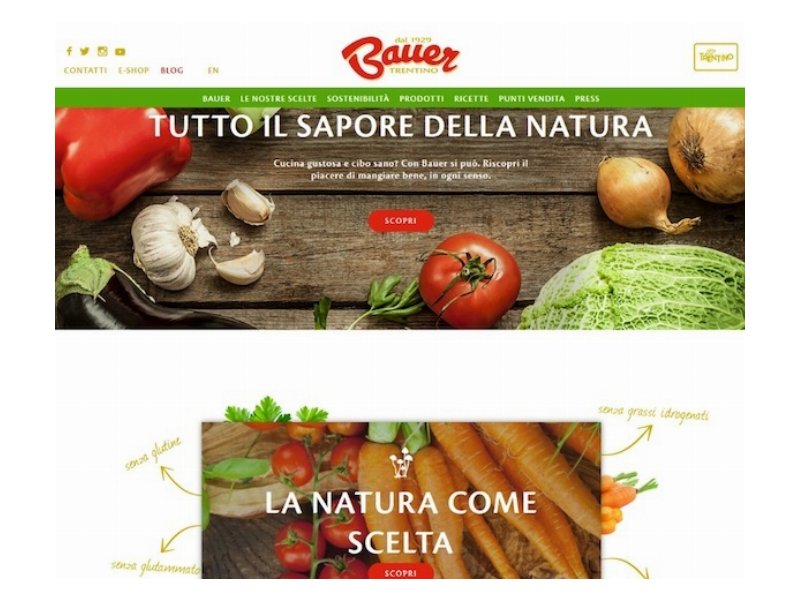 Bauer lancia il nuovo sito web