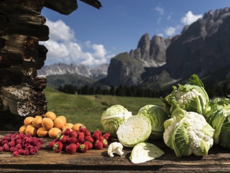 Cresce il raccolto del cavolfiore