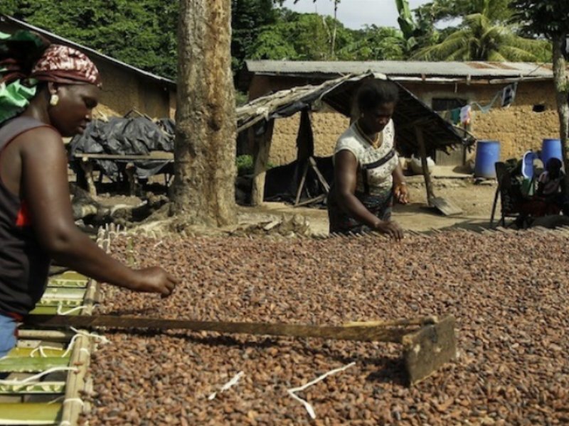 Cresce l'impegno di Ferrero nei confronti del Fairtrade