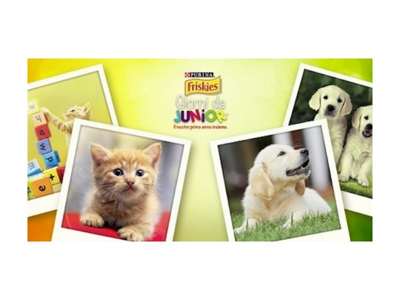 Friskies: riparte l'iniziativa "Giorni da Junior"