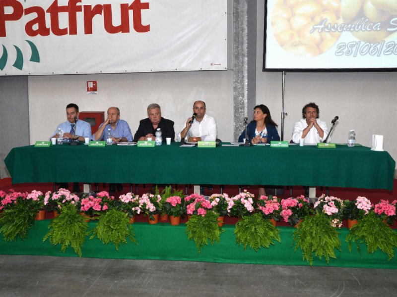 Patfrut, Roberto Cera è il nuovo presidente