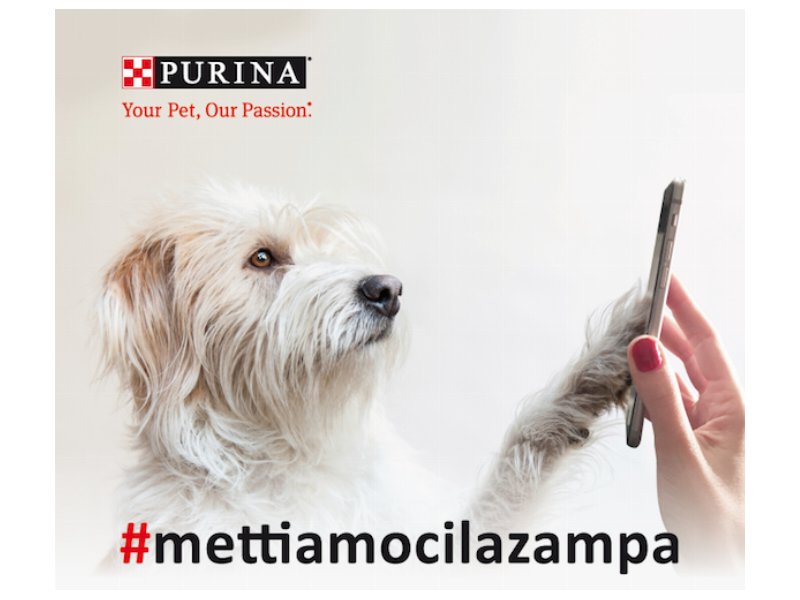 Purina lancia la petizione #mettiamocilazampa