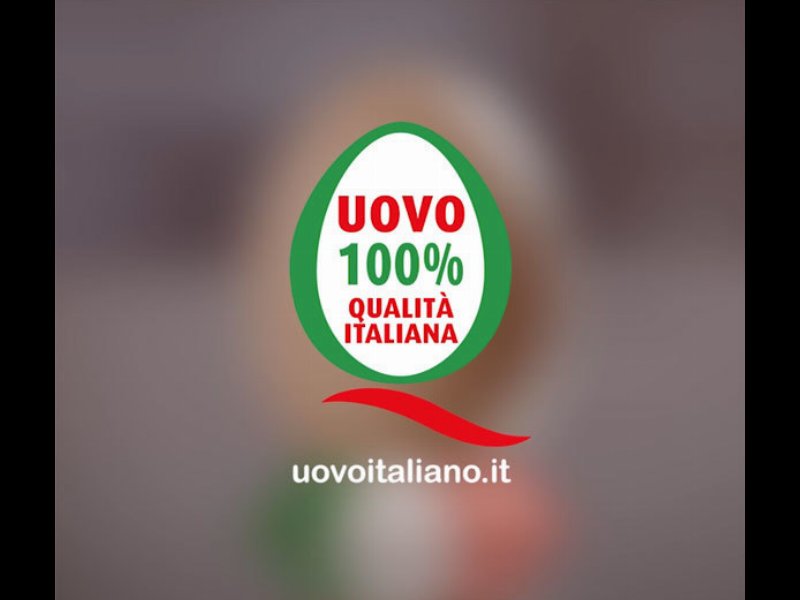 Uovo Italiano, al via campagna adv promossa da Assoavi