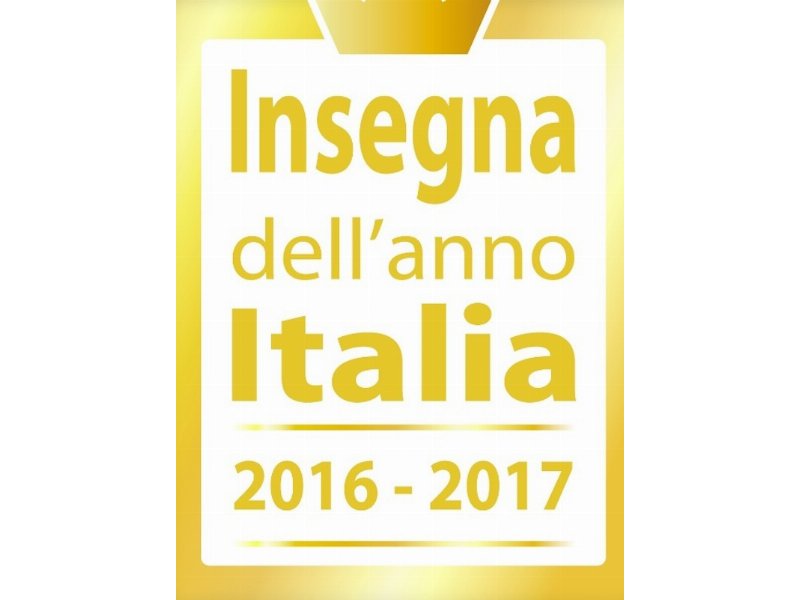 Work in progress per il premio "Insegna dell'anno 2016 - 2017"