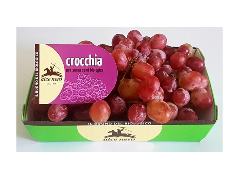 Alce Nero presenta l’uva rossa Crocchia