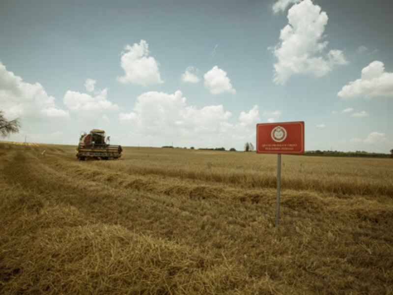 Birra Peroni investe nell'agricoltura sostenibile