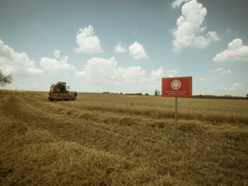 Birra Peroni si impegna per l'agricoltura sostenibile