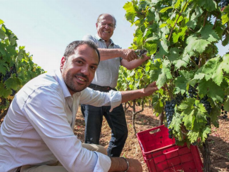 Cambio al vertice del Consorzio dei Vini “Gioia del Colle”