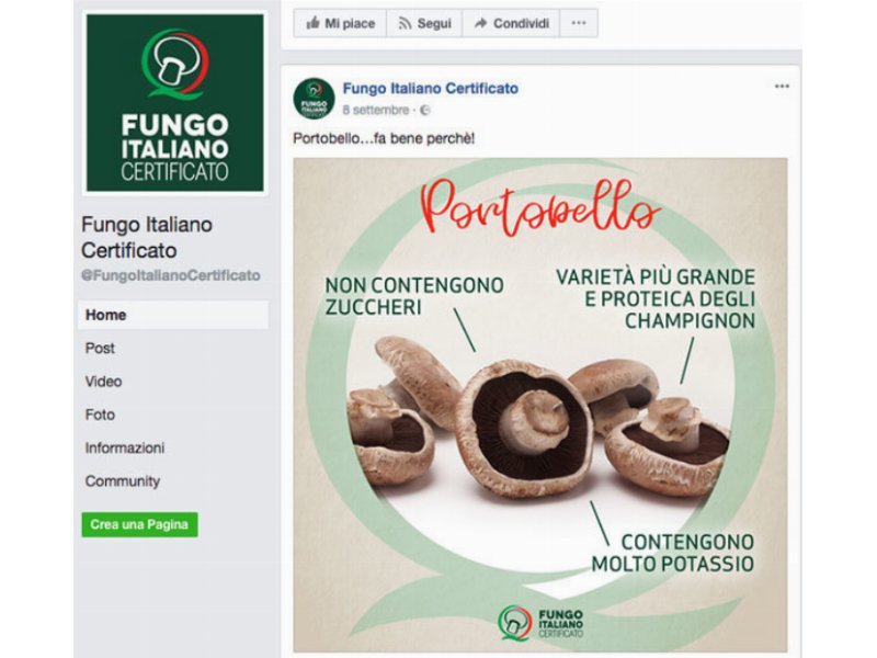 Consorzio Fungo Italiano Certificato: il profilo Facebook continua a crescere