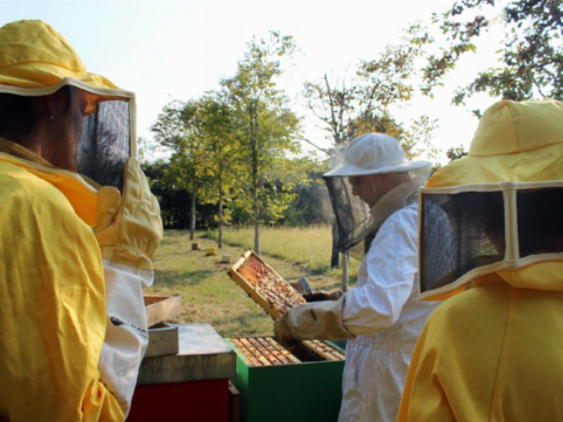 Fattoria Scaldasole sostiene il progetto “Bee my Future”