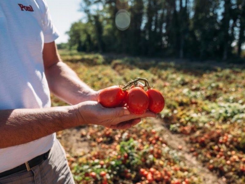 consorzio-casalasco-del-pomodoro-eccellenza-quotidiana