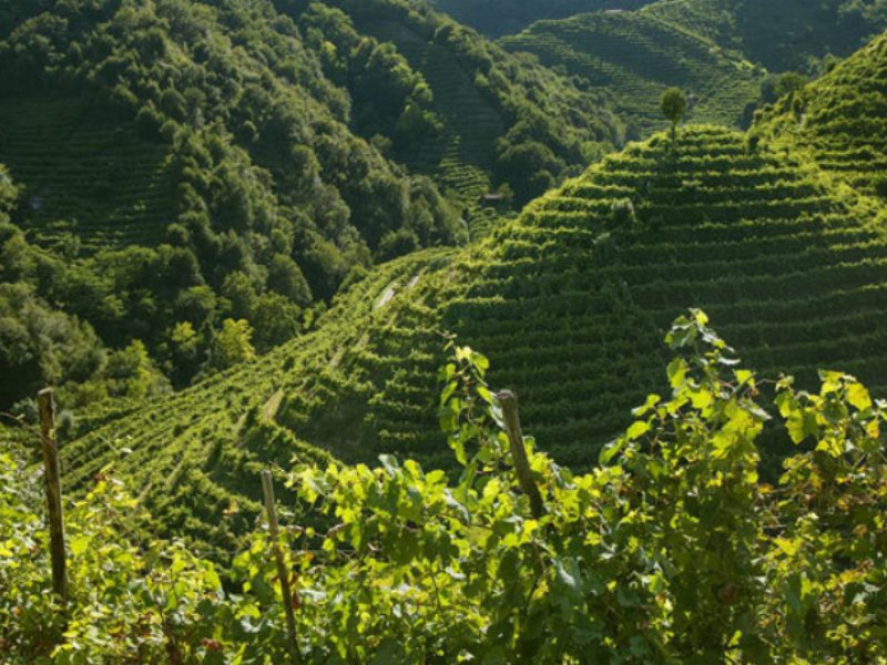 Il Conegliano Valdobbiadene Prosecco è sempre più internazionale