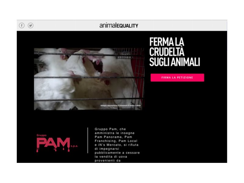 Il "j'accuse" di Animal Equality nei confronti di gruppo Pam