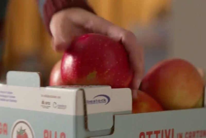 Lunga vita alla frutta, con Attivo di Bestack