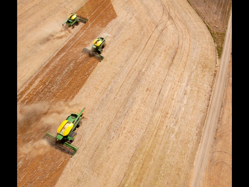 Bonifiche Ferraresi: mille ettari di agricoltura biologica in Sardegna