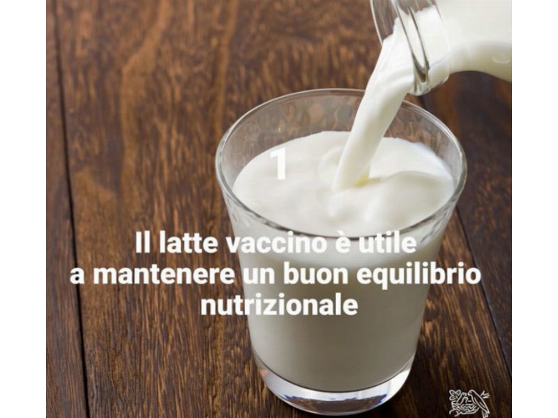 Nestlé: necessario sfatare i falsi miti sul latte