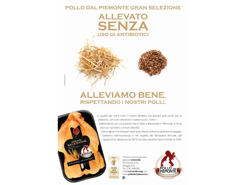 Nuova campagna adv per gran selezione di Pollo dal piemonte