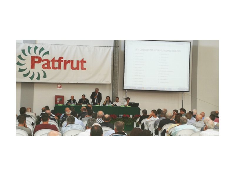 Patfrut, il fatturato sfiora i 62 milioni di euro