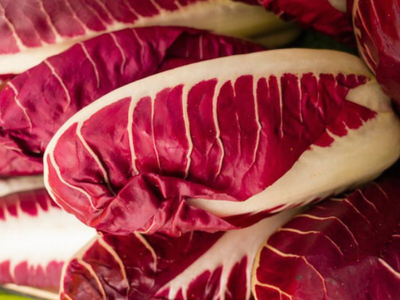 Radicchio di Treviso IGP guarda ai mercati stranieri