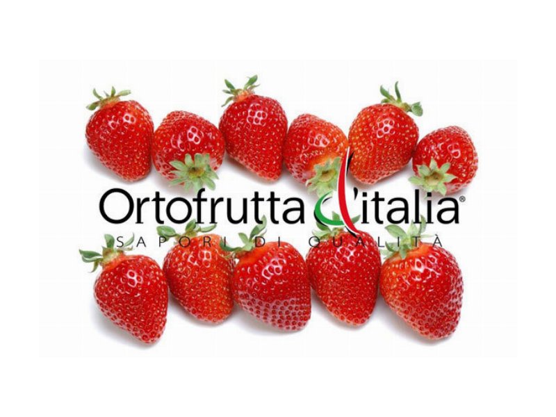 Riparte con la fragola il Progetto Ortofrutta d'Italia di CSO Italy