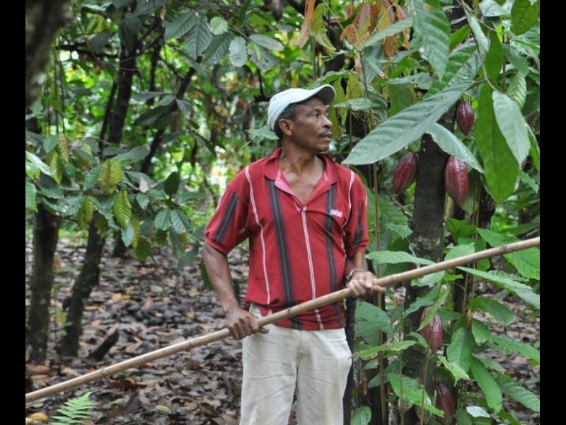 Volumi in crescita per Fairtrade Italia