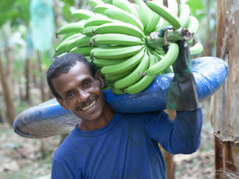 Volumi in crescita per Fairtrade Italia