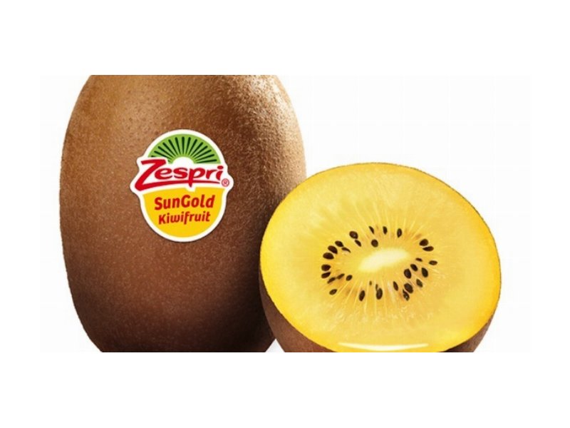 Zespri aumenta la produzione italiana di kiwi SunGold