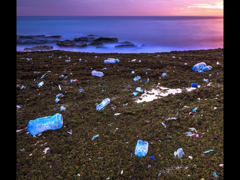 Carrefour eliminerà la plastica dalle private label