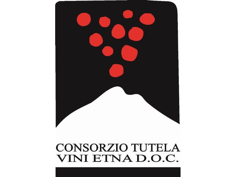 Eletto nuovo Cda del Consorzio di Tutela Vini Etna Doc