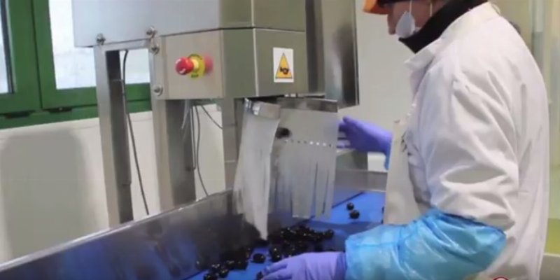 Frescosenso: obiettivo 4 milioni di Kg all’anno