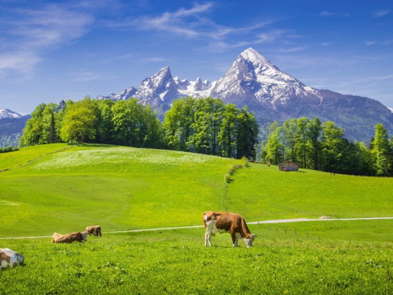 la-carne-bavarese-una-certezza-per-i-consumatori