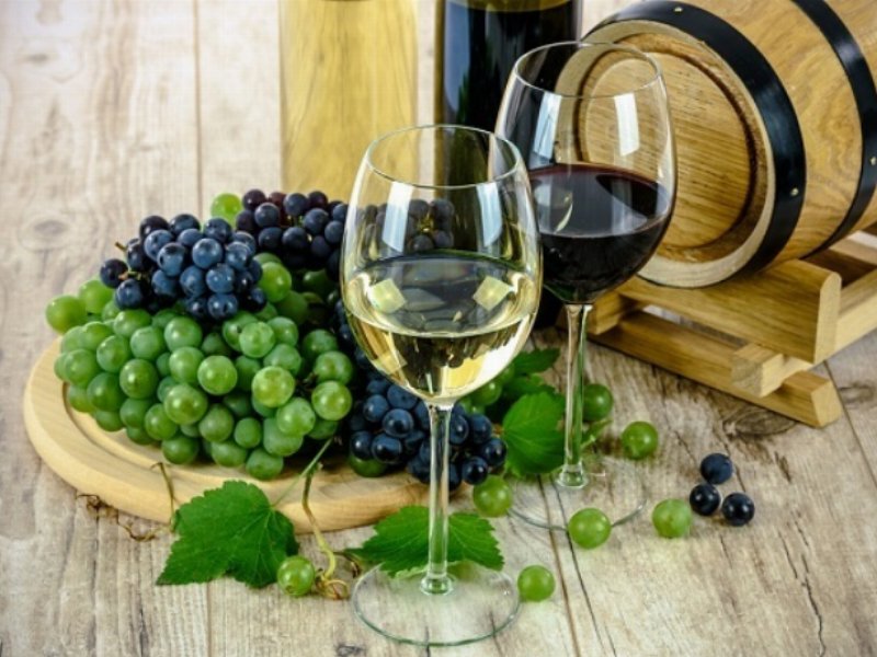 Italian Wine Brands: Grande Alberone cresce del 20% e approda in Russia