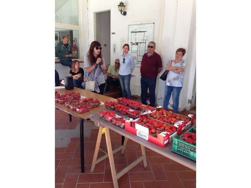 Le fragole di Geoplant conquistano la platea tecnica di Cesena