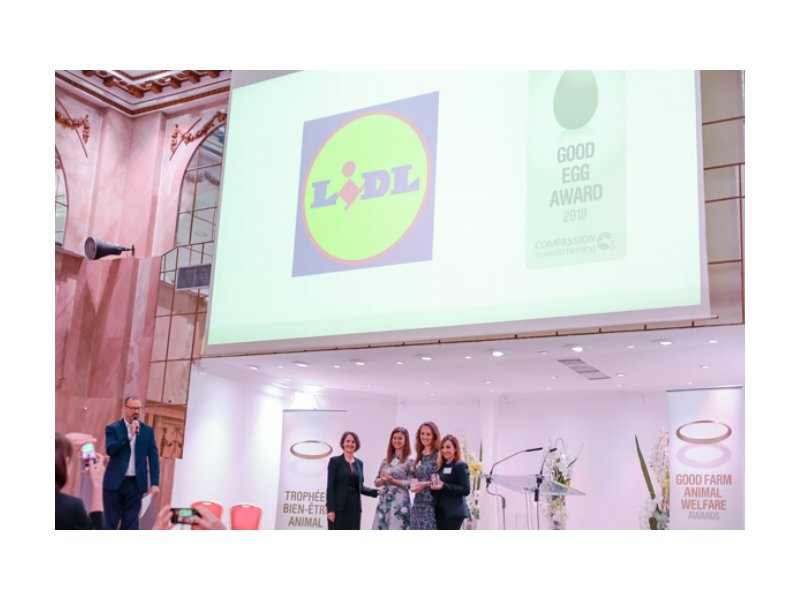 Lidl Italia premiata per le politiche di benessere animale