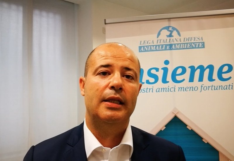 Lidl: petfood a +10% negli ultimi 5 anni