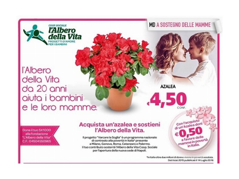 MD sostiene L’albero della Vita per aiutare mamme e bambini