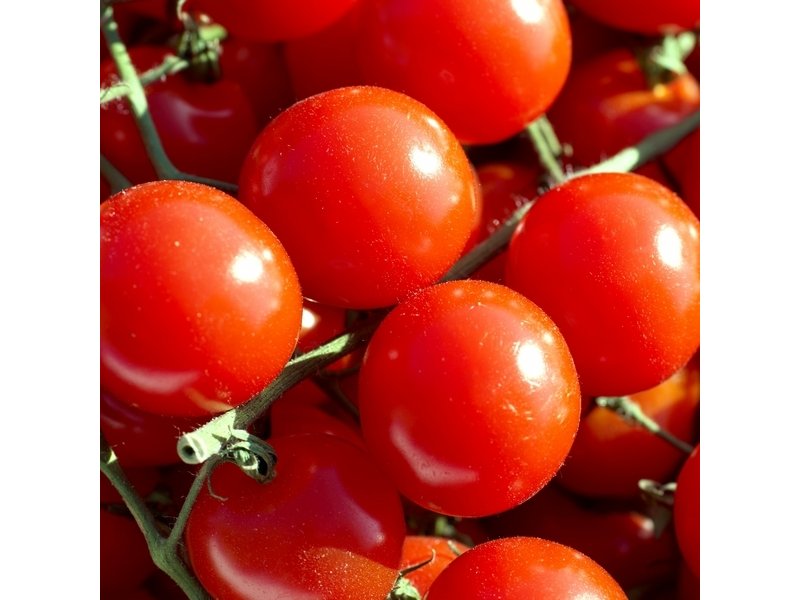 Origine del pomodoro in etichetta: ecco cosa cambia