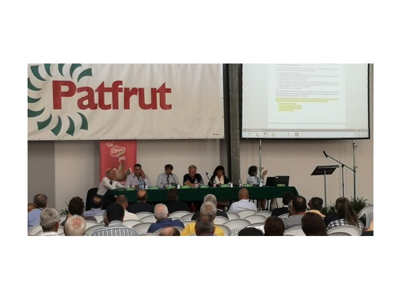 Patfrut: il fatturato sfiora i 64 milioni di euro