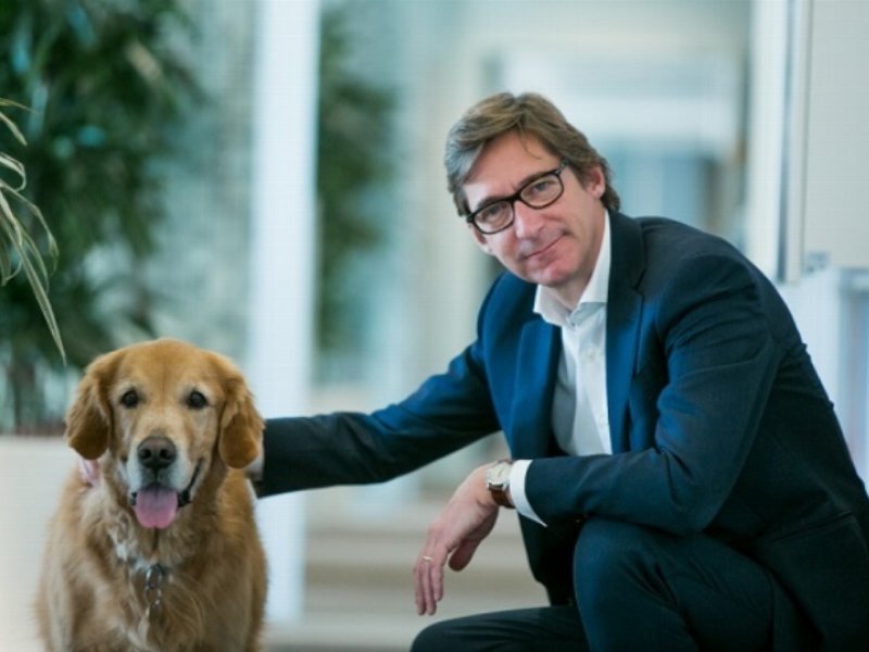 Purina promuove la Giornata mondiale del cane in ufficio