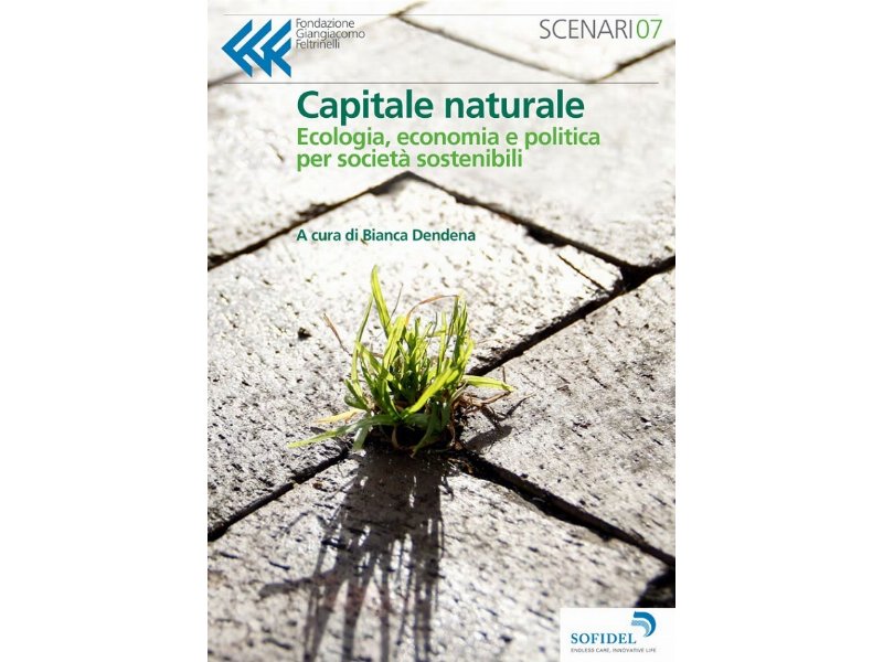 Sofidel propone l’e-book “Capitale naturale: ecologia, economia e politica per società sostenibili”