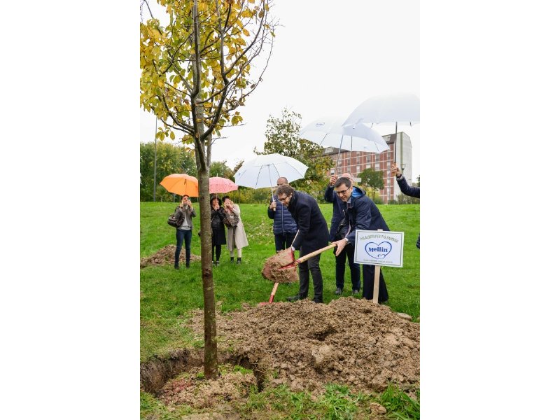 Al via la campagna Mellin “Più alberi per più bambini”