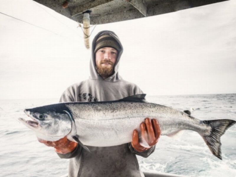 Alaska Seafood valorizza il salmone selvaggio dell’Alaska