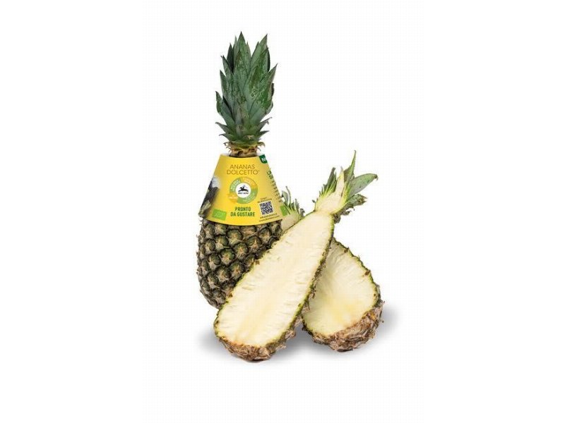 Alce Nero propone l’ananas dolcetto