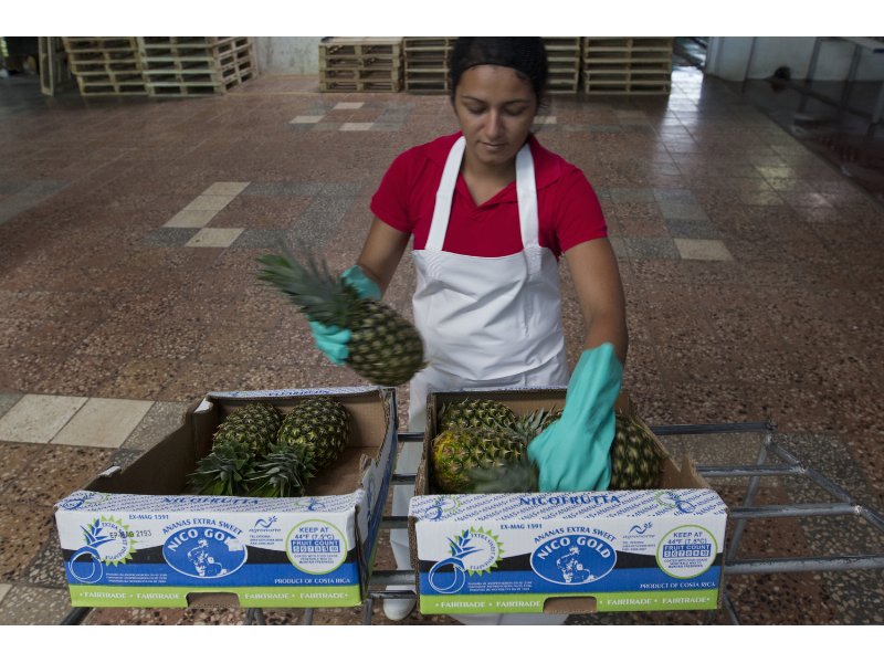 Ananas sempre più sostenibile dal Costa Rica